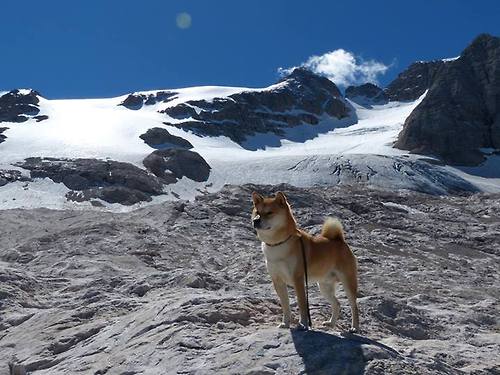 上海队对阵马刺，当太空来客文班亚马在季前赛写下宇宙级数据