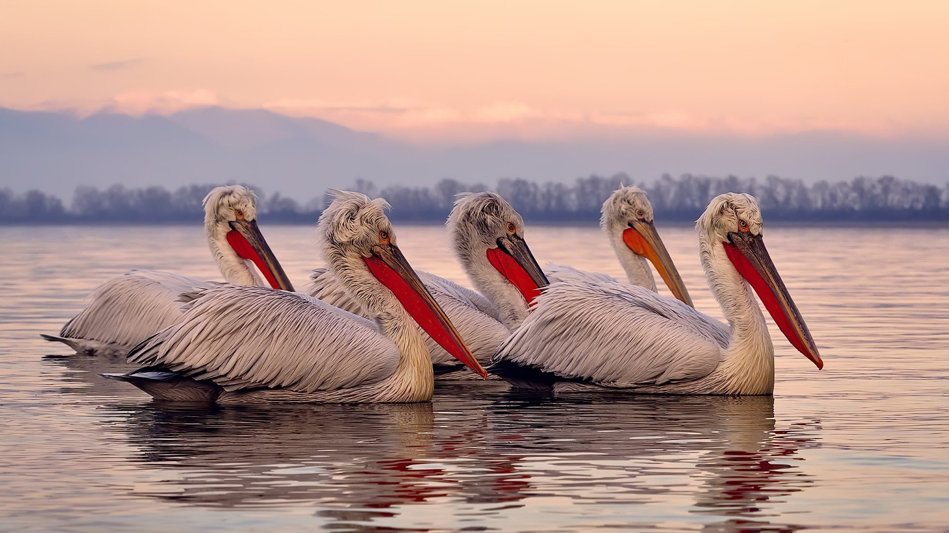 雷火电竞充值-27+5+5彰显天赋！47分惨案背后，凯尔特人用一场大胜昭示东部格局巨变