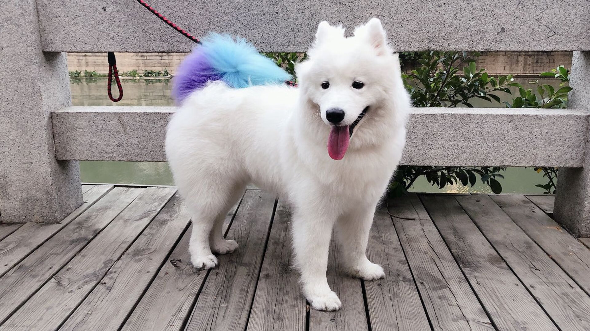 封锁高卢雄鸡的白色密码—福登如何将皇马基因锻成英格兰的制胜钥匙