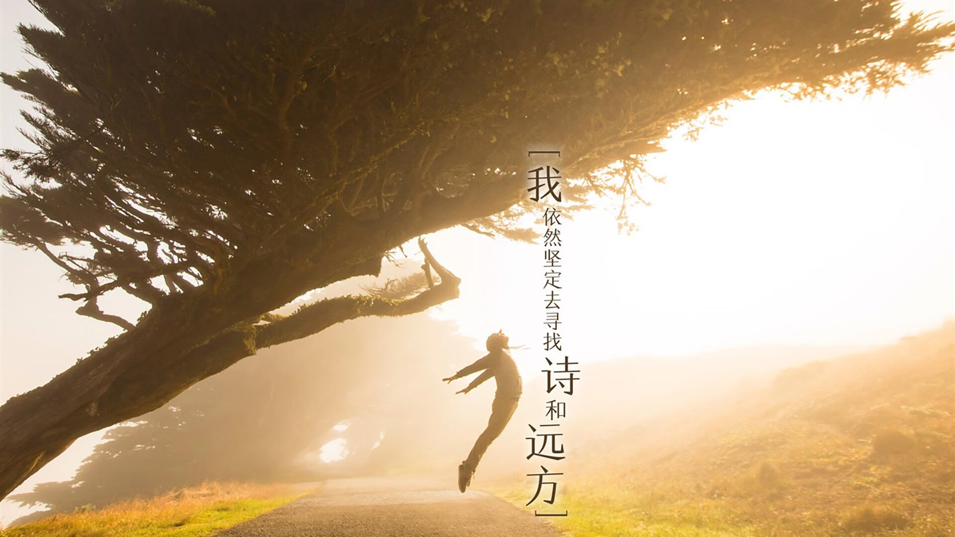 雷火电竞简介-桑巴之舞，维尼修斯点亮的璀璨星河—2026世界杯B组焦点战，巴西力克丹麦全记录